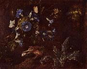 SCHRIECK, Otto Marseus van Blaue Winde Kroe und Insekten painting